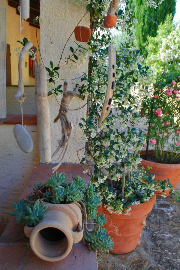 Agriturismo Le Catre Castagneto Carducci Exterior foto
